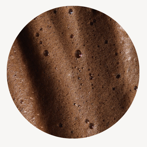 Close-up of a brown textured surface with speckles on a white background